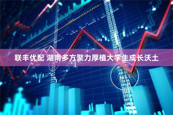 联丰优配 湖南多方聚力厚植大学生成长沃土