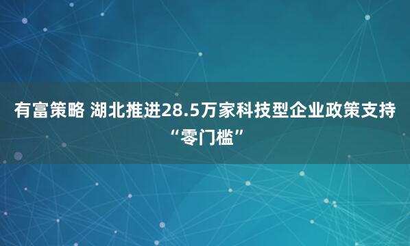 有富策略 湖北推进28.5万家科技型企业政策支持“零门槛”