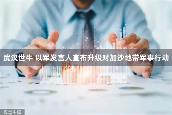 武汉世牛 以军发言人宣布升级对加沙地带军事行动