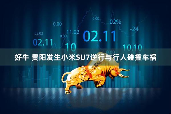 好牛 贵阳发生小米SU7逆行与行人碰撞车祸