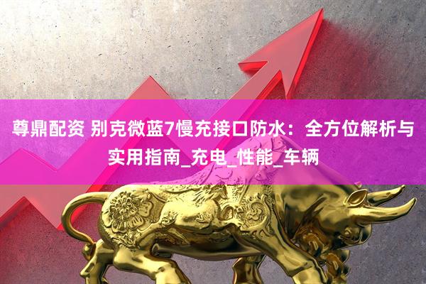 尊鼎配资 别克微蓝7慢充接口防水：全方位解析与实用指南_充电_性能_车辆