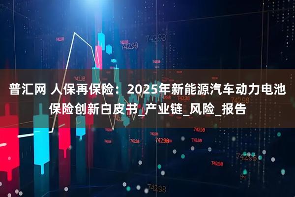 普汇网 人保再保险：2025年新能源汽车动力电池保险创新白皮书_产业链_风险_报告