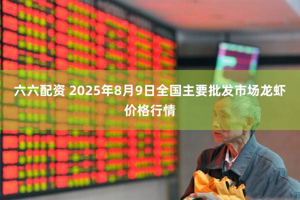 六六配资 2025年8月9日全国主要批发市场龙虾价格行情