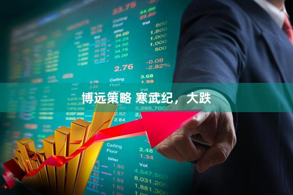 博远策略 寒武纪，大跌