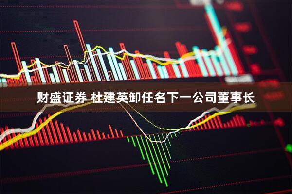 财盛证券 杜建英卸任名下一公司董事长