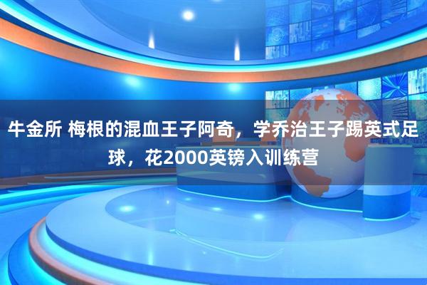 牛金所 梅根的混血王子阿奇，学乔治王子踢英式足球，花2000英镑入训练营