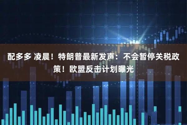 配多多 凌晨！特朗普最新发声：不会暂停关税政策！欧盟反击计划曝光